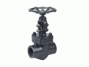 Forged Steel Gate Valve