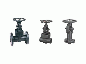 Forged Steel Globe Valve